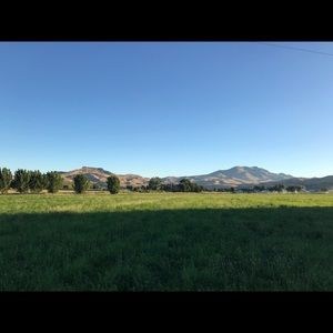 Meet your Posher, Lora